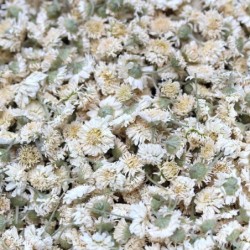 Camomille romaine - 25g