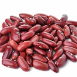Haricots rouges - 760g