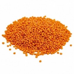 Lentilles CORAIL - 800g
