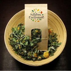 Tisane de printemps - 25g